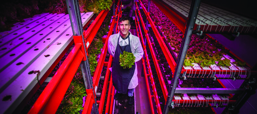 verticalfarming